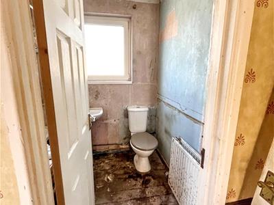 Picture 26